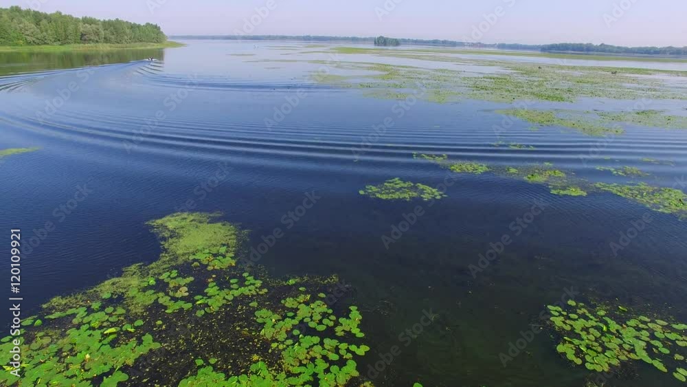 Flying over the boat in the river delta. Around the wild birds reeds. Sunny morning. Flying over the boat in the river delta. Around the wild birds reeds. Sunny morning.