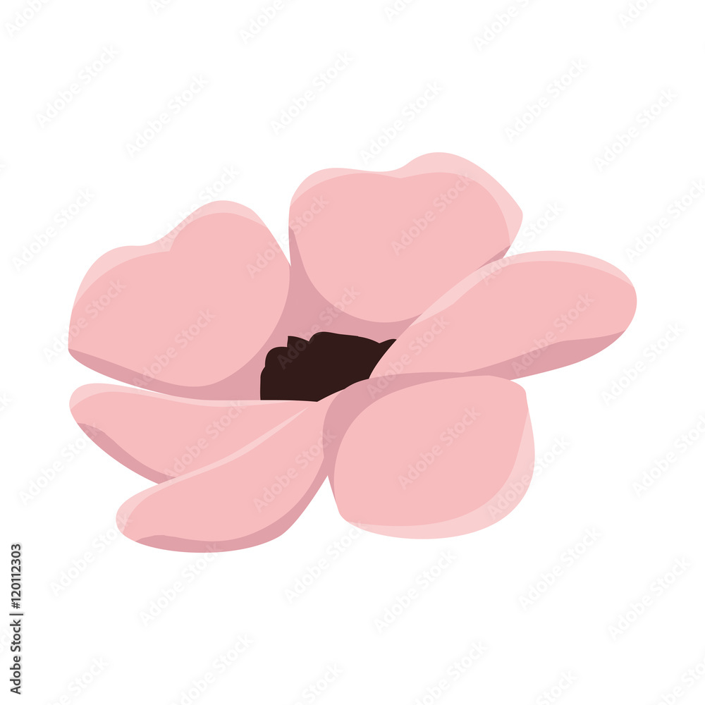 pink floral blossom. nature beauty flower. vector illustration pink floral blossom. nature beauty flower. vector illustration