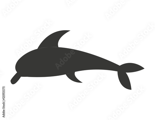 dolphyn cute fish isolated vector illustration design