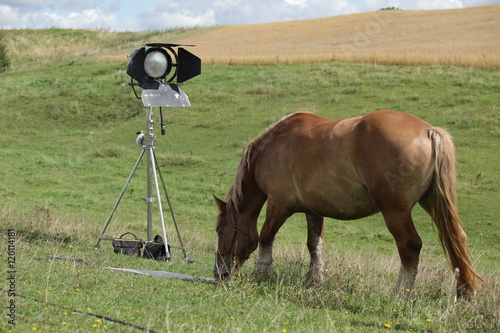 open air movie set on green grass with red horse