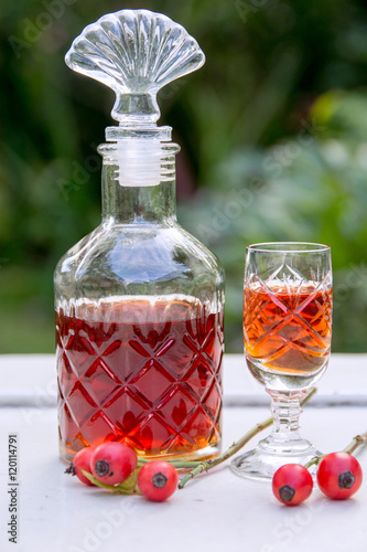 Fotografie tincture of rosehips