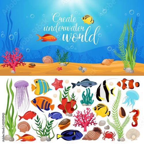 Sea Life Animals Plants Composition