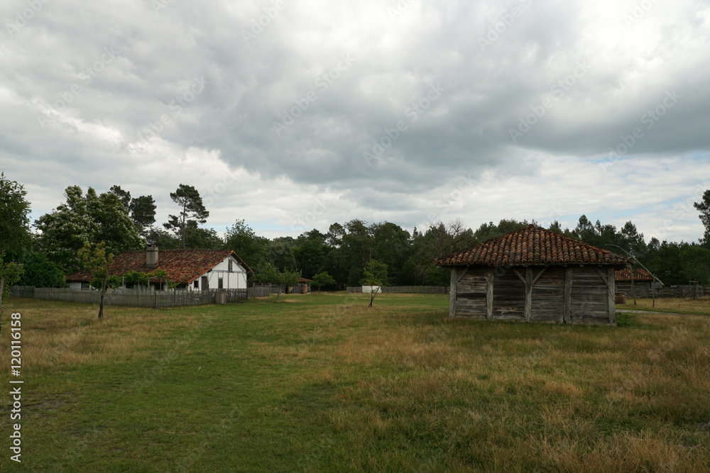 Fototapeta premium éco musée de Marquèze (sabres)