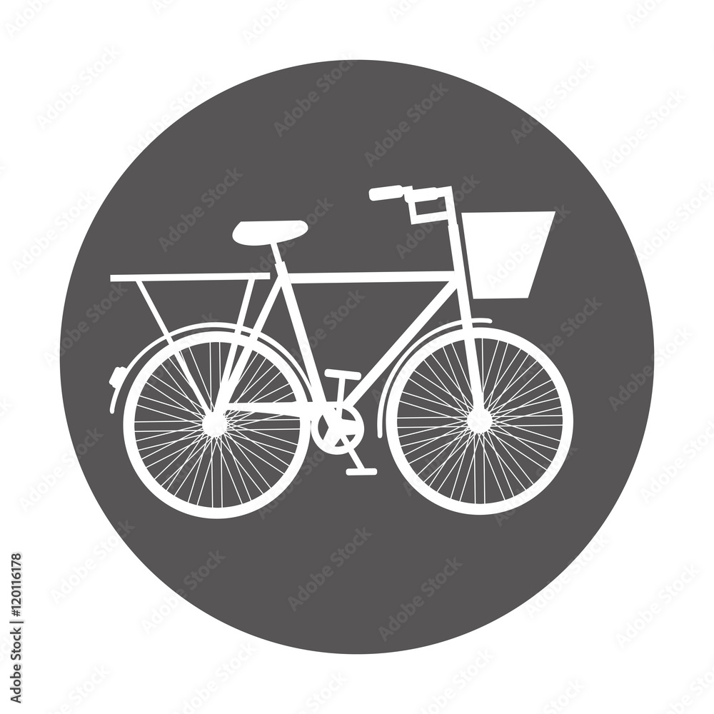 Fototapeta premium bicycle vehicle drawn isolated icon vector illustration design