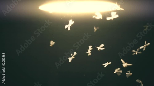 Close-up of an old street lamp with mosquitoes and moths at night. Slow motion photo