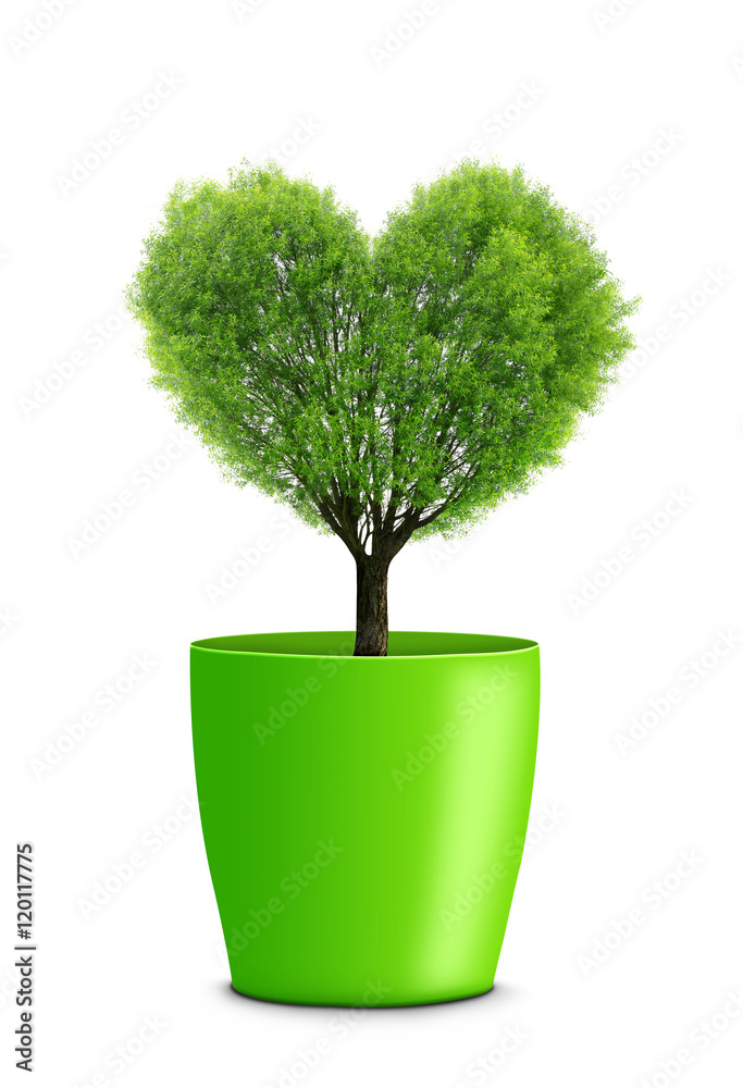 Obraz premium Tree in the shape heart growing in green pot isolated on white background