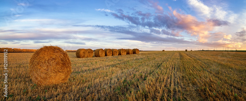 панорама сельского поля со скошенной травой вечером