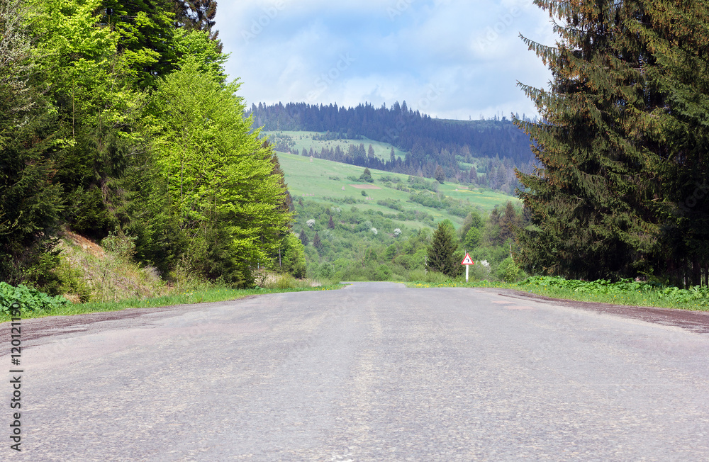 Fototapeta premium asphalt road through mountains with fir-trees