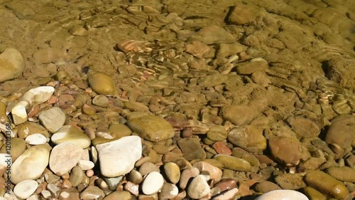 fish ablet in clear water photo