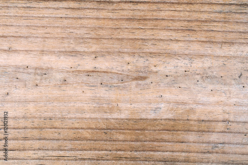 Wood background / Close up texture of wood background.