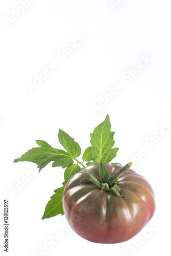 Black ribbed heirloom tomato with sepal and leaf photo