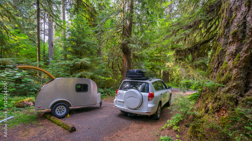 White car and teardrop in the fairy green forest. Large trees were overgrown with moss. The sun's rays fall through the leaves. Iron Creek Campground trails, Mount St Helens - East Part