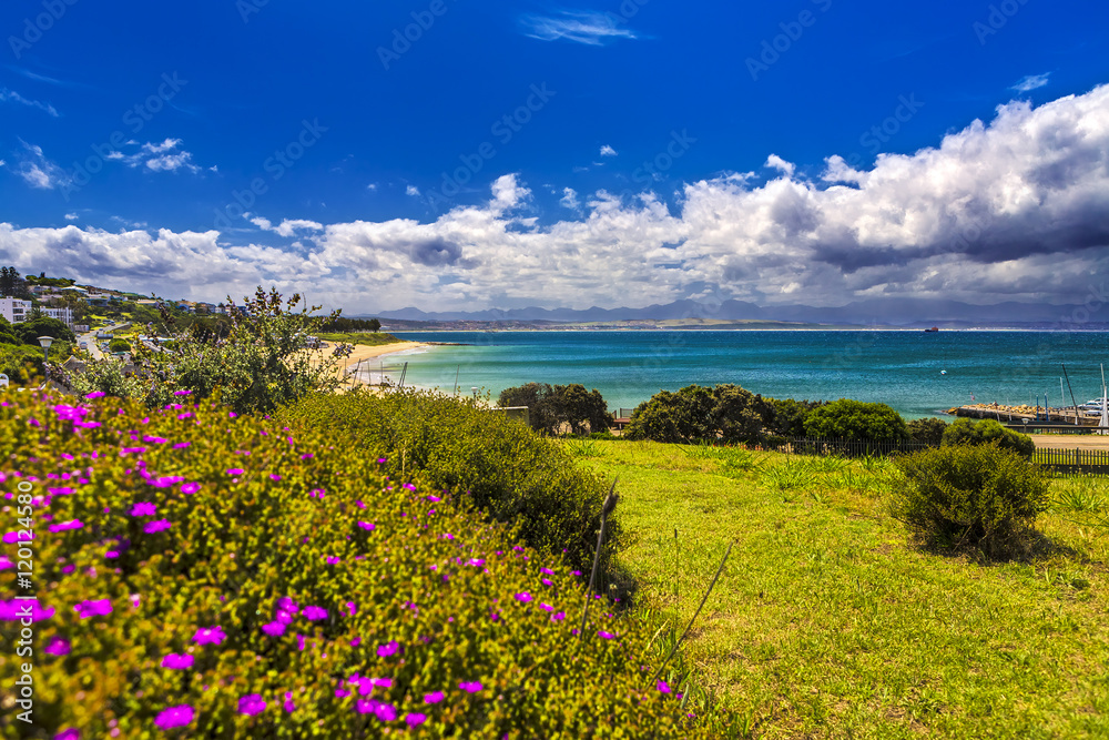 Republic of South Africa. Mossel Bay (Mosselbaai) in Western Cape Province. Botanical garden of the Bartolomeu Dias Museum Complex and Santos Beach in the background