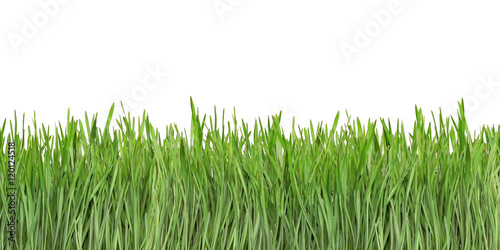 Grass Blades Cutout