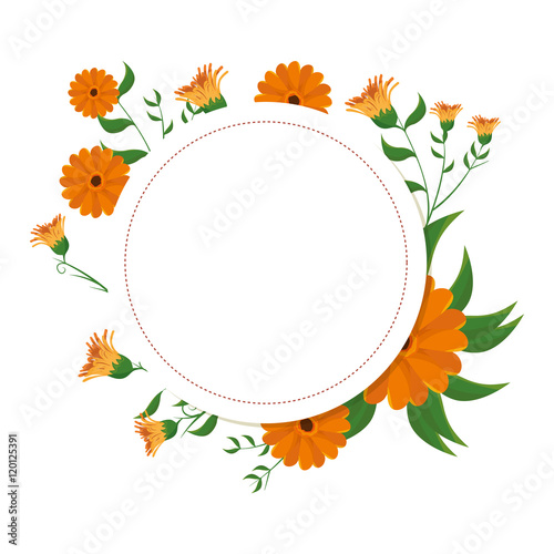 vintage flowers frame decoration with green leaves. vector illustration