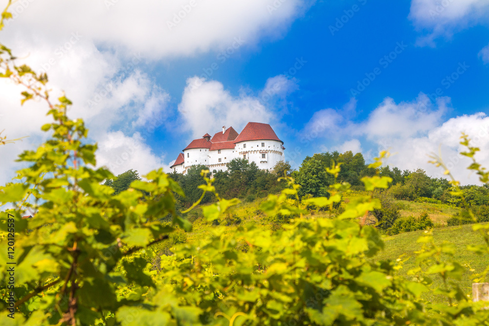      Old castle Veliki Tabor on hill, Zagorje, Croatia, view through the vineyard leafs, selective focus 