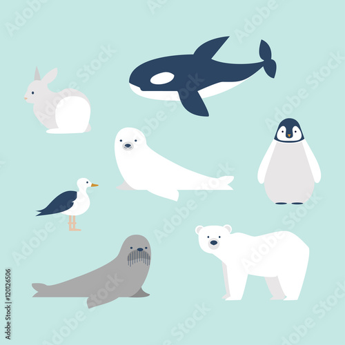 Arctic animals set