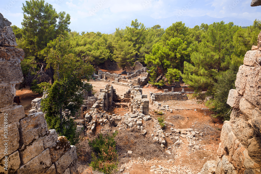 Ruins of ancient city Phaselis. Olympos National Park, Antalya Province, Turkey