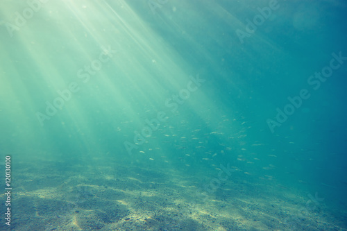 Underwater shot with sunrays and fish in deep tropical sea © ValentinValkov