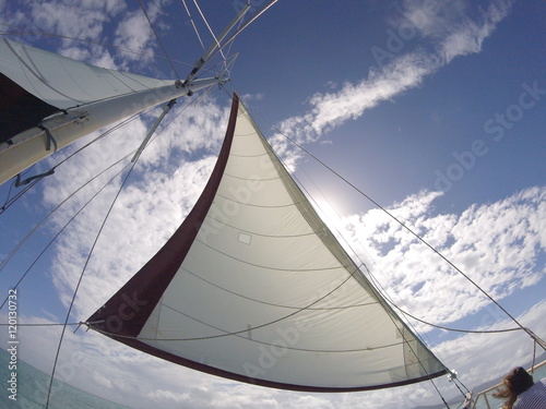 Head sail hoisted © travel_tog_greg