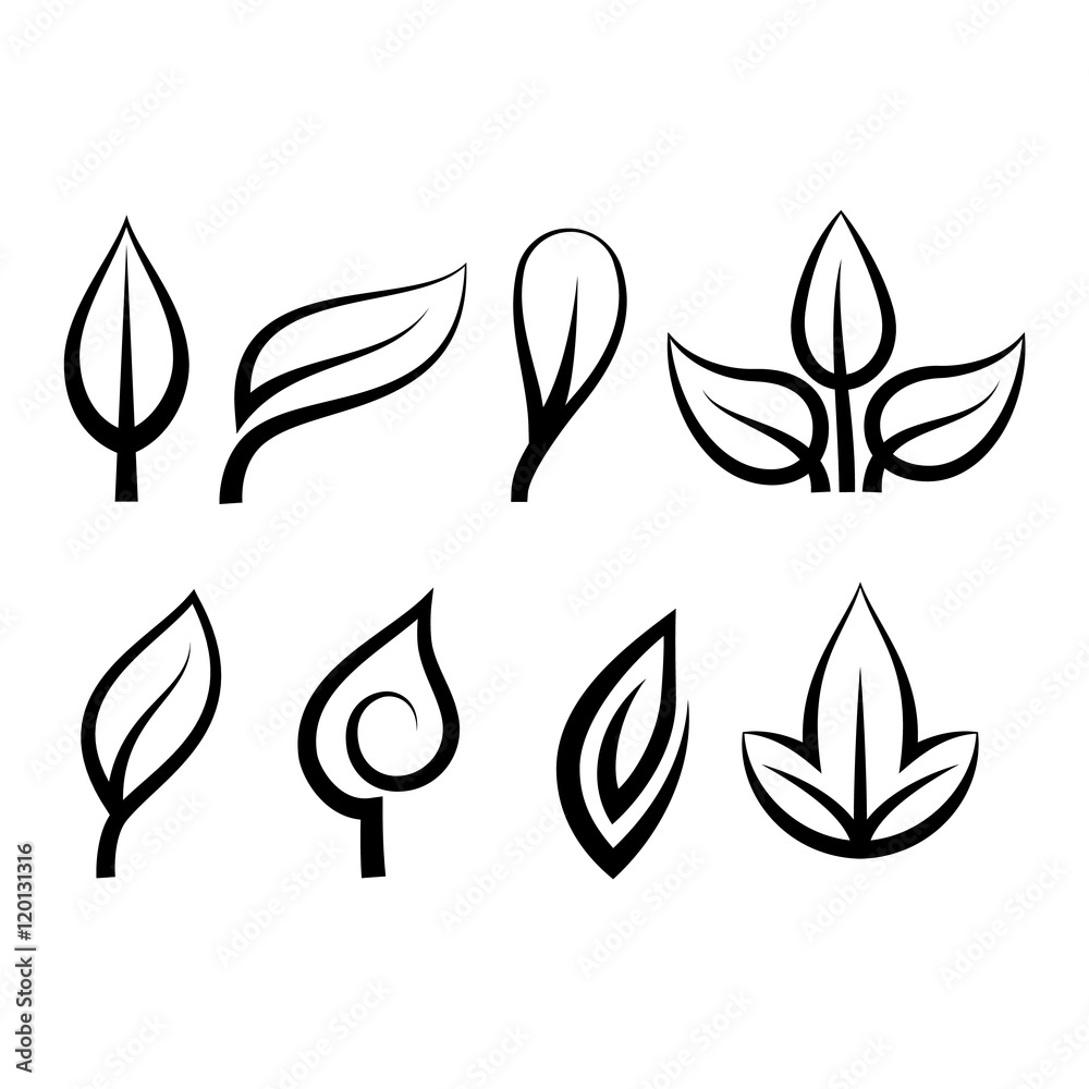 Leaf icon vector illustration.