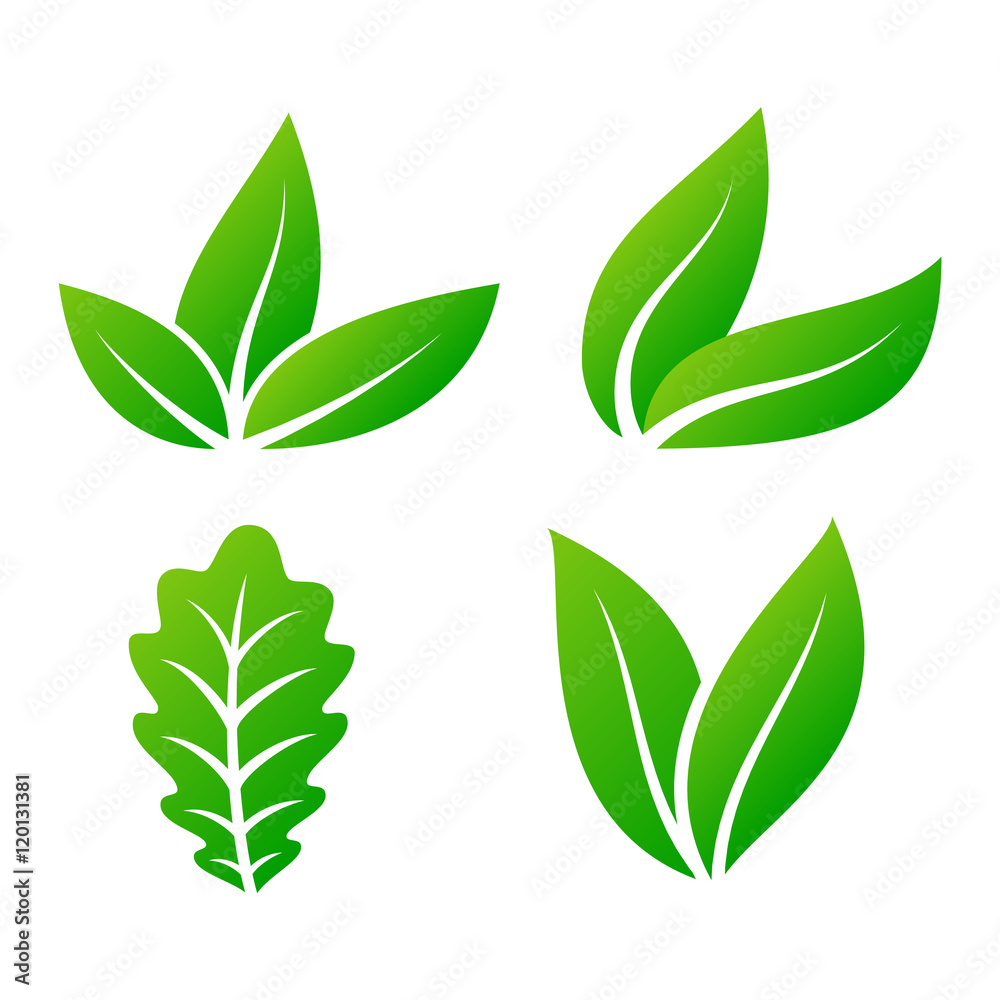 Leaf icon vector illustration. Leaf icon vector illustration.