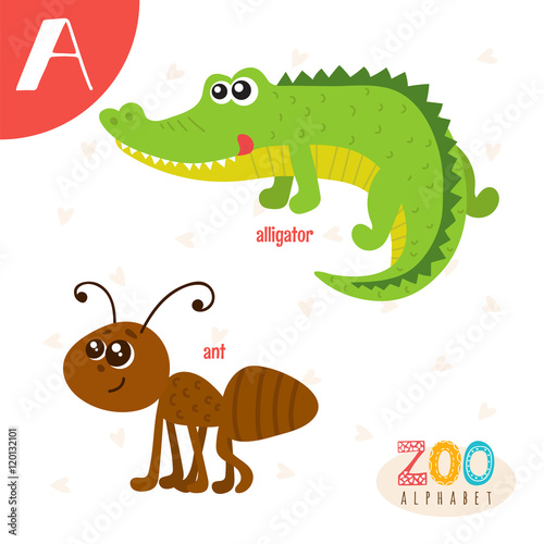 Fototapeta Naklejka Na Ścianę i Meble -  Letter A. Cute animals. Funny cartoon animals in vector. ABC boo
