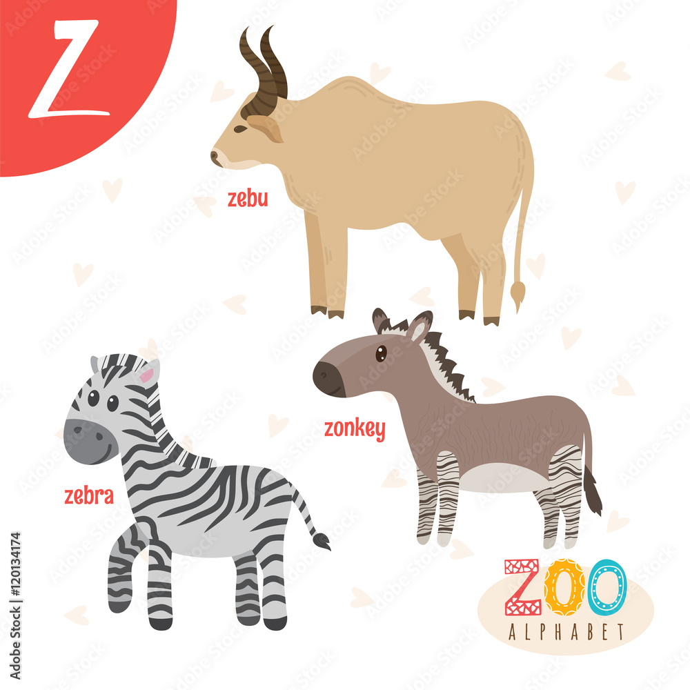 Letter Z. Cute animals. Funny cartoon animals in vector. ABC boo Letter Z. Cute animals. Funny cartoon animals in vector. ABC boo