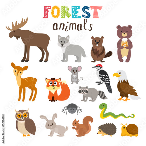Set of cute forest animals in vector. Woodland. Cartoon style
