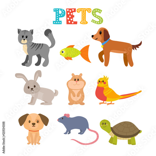 Set of pets. Cute home animals in cartoon style