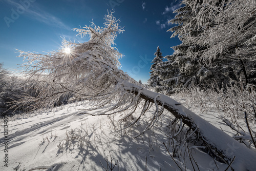 Fototapeta Naklejka Na Ścianę i Meble -  Fantastic winter landscape 
