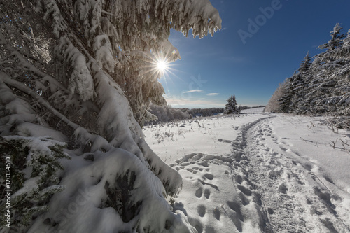 Fototapeta Naklejka Na Ścianę i Meble -  Fantastic winter landscape 
