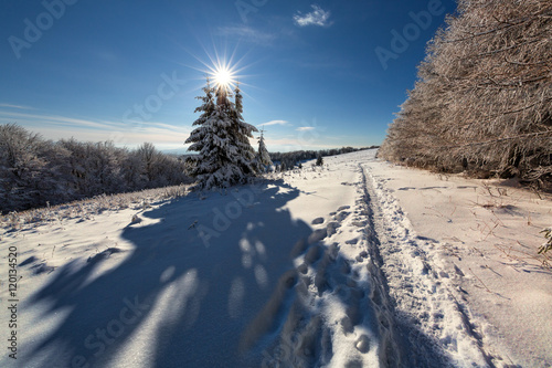 Fototapeta Naklejka Na Ścianę i Meble -  Fantastic winter landscape 