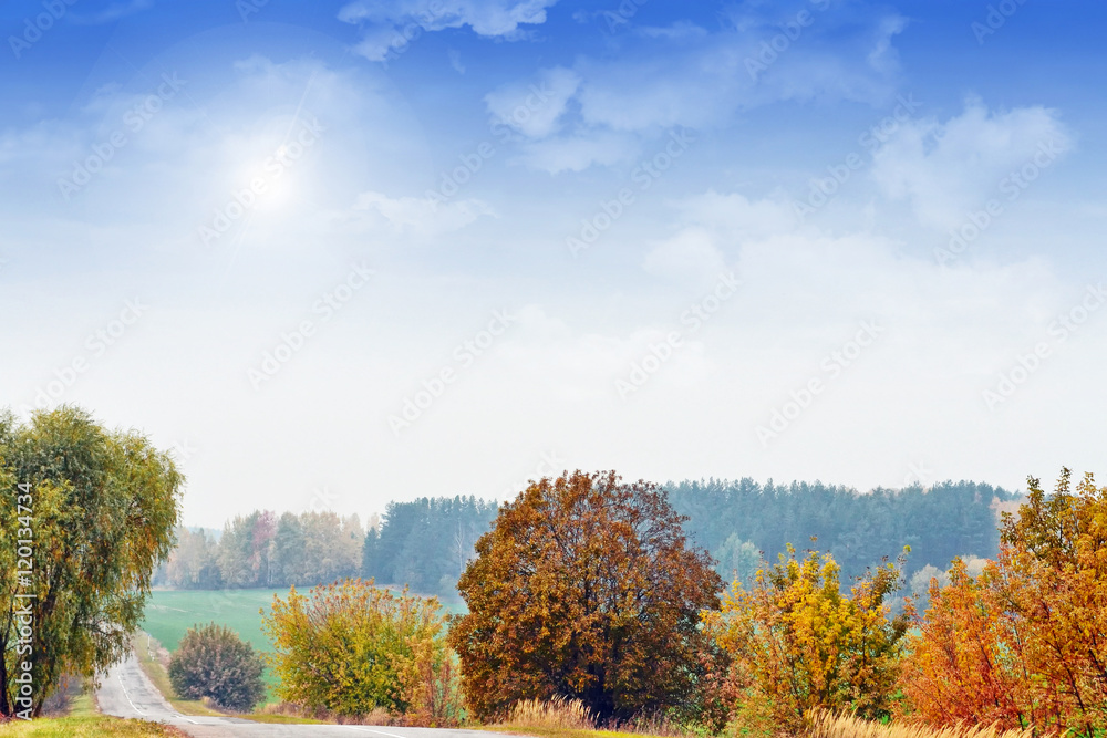 Autumn landscape. Beautiful leaves. landscape. Colorful trees Autumn landscape. Beautiful leaves. landscape. Colorful trees