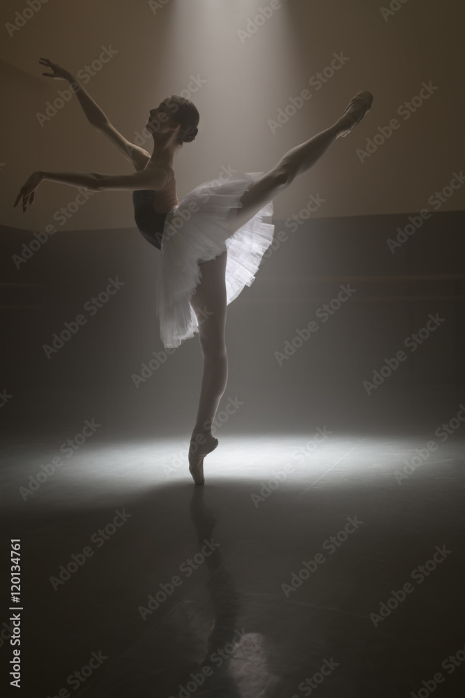 Ballerina in the white tutu