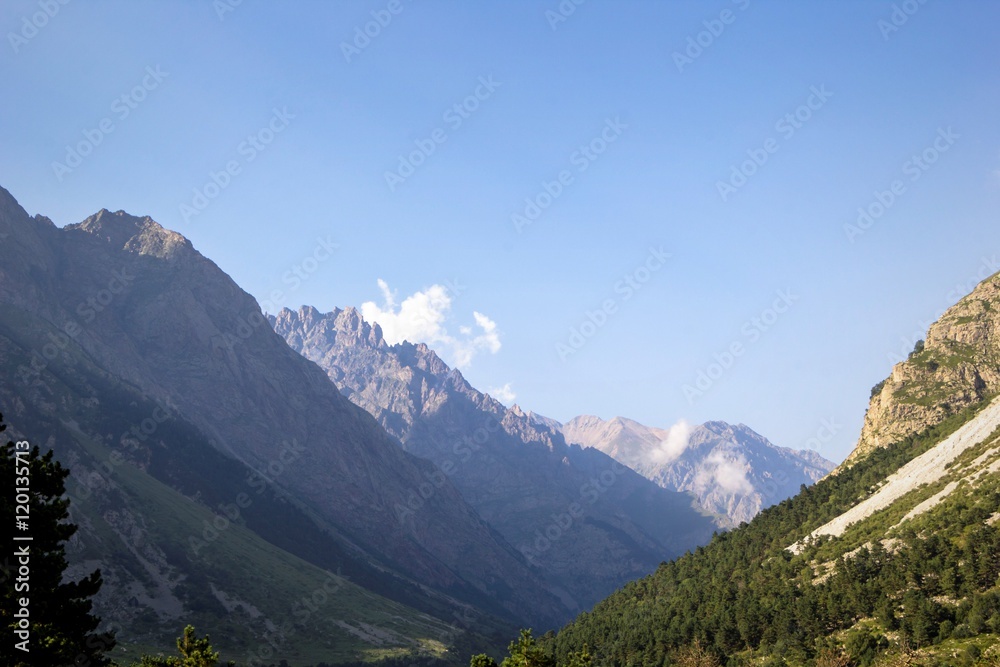 Fototapeta premium горный пейзаж, дикая природа