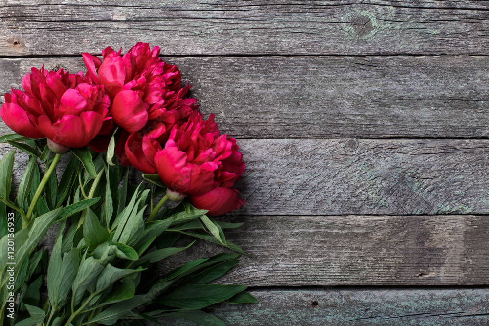 Pink peonies flowers on rustic wooden background. Selective focus, place for text, top view