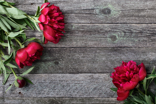 Splendid pink peonies flowers on rustic wooden background. Selective focus  place for text  top view