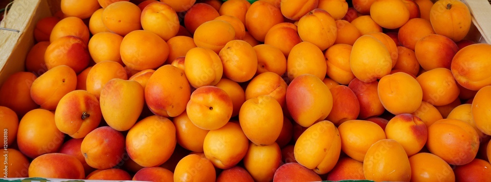 Ripe apricots in bulk at a farmers market