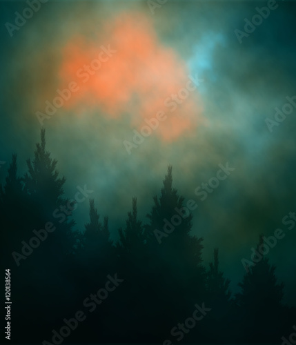 Editable vector illustration of a cloudy evening sky over a conifer forest created using gradient meshes