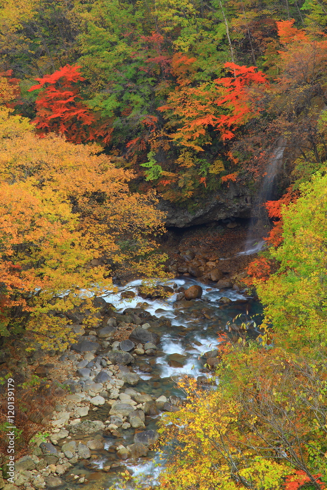 八幡平 紅葉の松川渓流 八幡平 紅葉の松川渓流