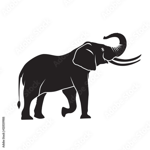 Elephant silhouette