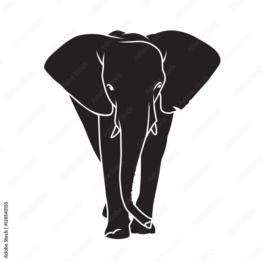 Fototapeta premium Elephant silhouette