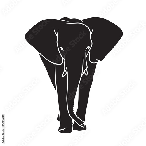 Elephant silhouette