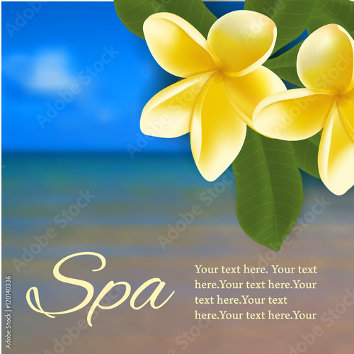 Spa concept with blurred seaside background and realistic vector frangipani