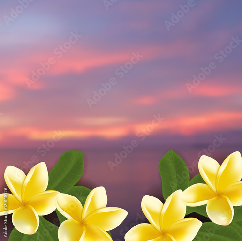 Spa concept with blurred seaside background and realistic vector frangipani