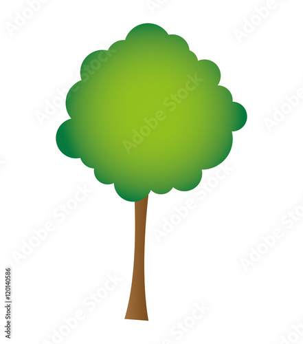 tree plant natural isolated icon vector illustration design