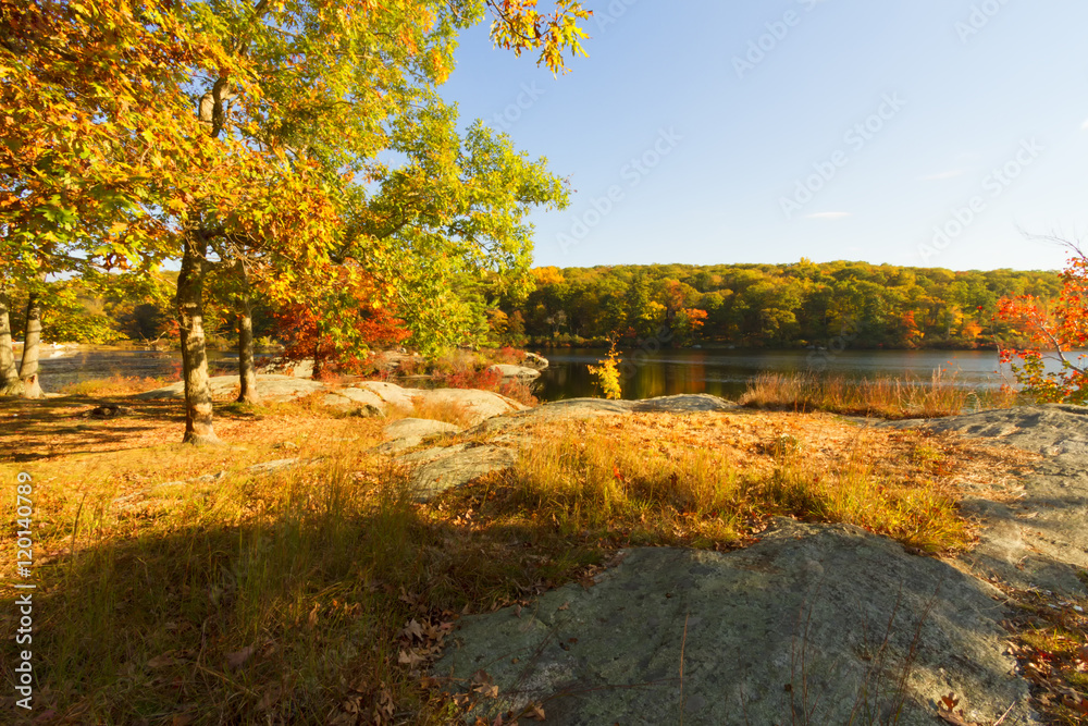 Obraz premium Fall landscape at sunset.