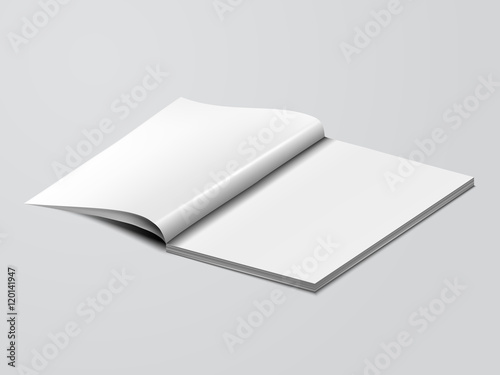 blank mock up opened book template