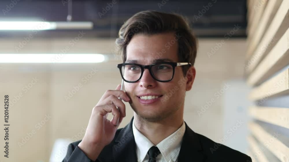 Young Businessman Talking on Phone, Discussing Project, Portrait Young Businessman Talking on Phone, Discussing Project, Portrait